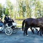 zdjęcie nr 110