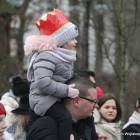 zdjęcie nr 45