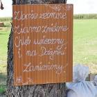 zdjęcie nr 243