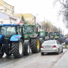 zdjęcie nr 15