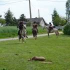 zdjęcie nr 41