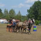 zdjęcie nr 36
