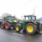zdjęcie nr 10