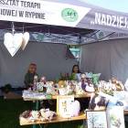 zdjęcie nr 80