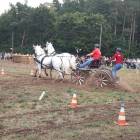 zdjęcie nr 72
