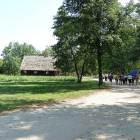 zdjęcie nr 51