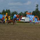zdjęcie nr 31