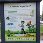 zdjęcie nr 27