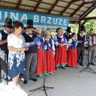 zdjęcie nr 146