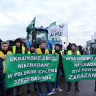 zdjęcie nr 14