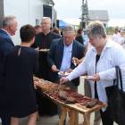 zdjęcie nr 11