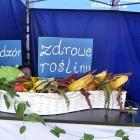zdjęcie nr 44