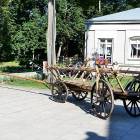 zdjęcie nr 50