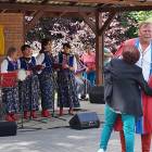 zdjęcie nr 50