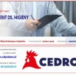 zdjęcie nr 
