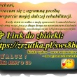 zdjęcie nr 