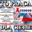 zdjęcie nr 