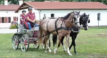 Dofinansowali obiekty sportowe