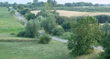 Zadbają o zazielenienie gminy