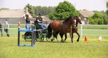 Konie, pasja i sportowe emocje