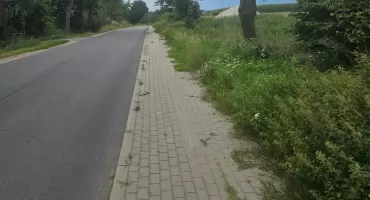 Chodniki zarastają. Problem jest większy, niż się wydaje